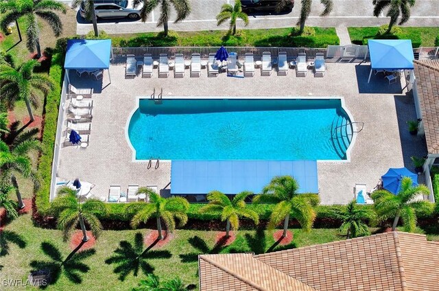bird's eye view of a pool