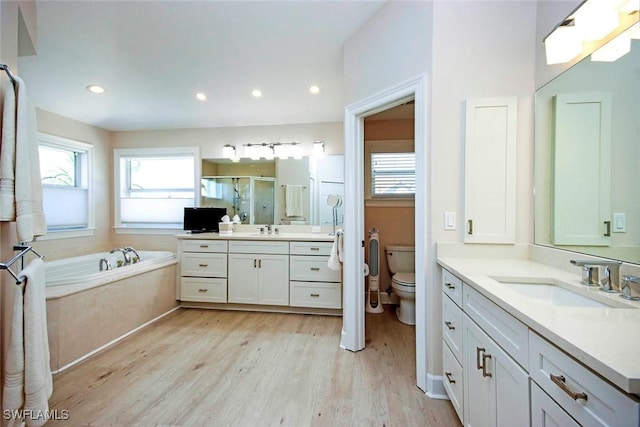 full bathroom featuring a shower stall, wood finished floors, toilet, and a sink
