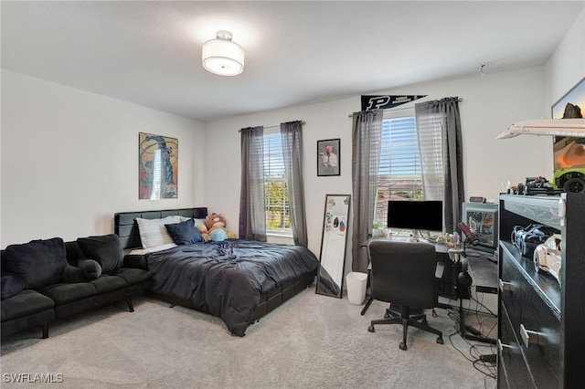 bedroom with carpet flooring