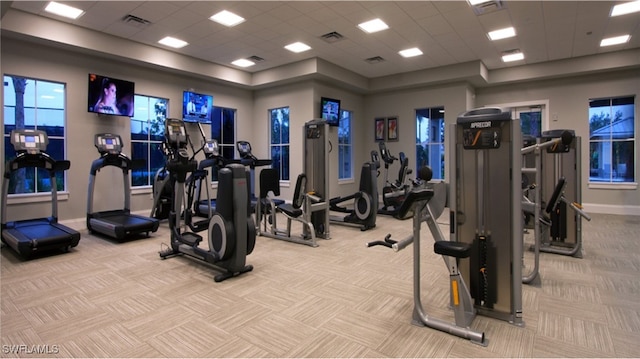 workout area with baseboards, carpet flooring, a paneled ceiling, and visible vents