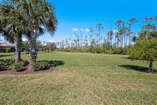 20374 Black Tree Ln, Estero, FL 33928 - view of green lawn