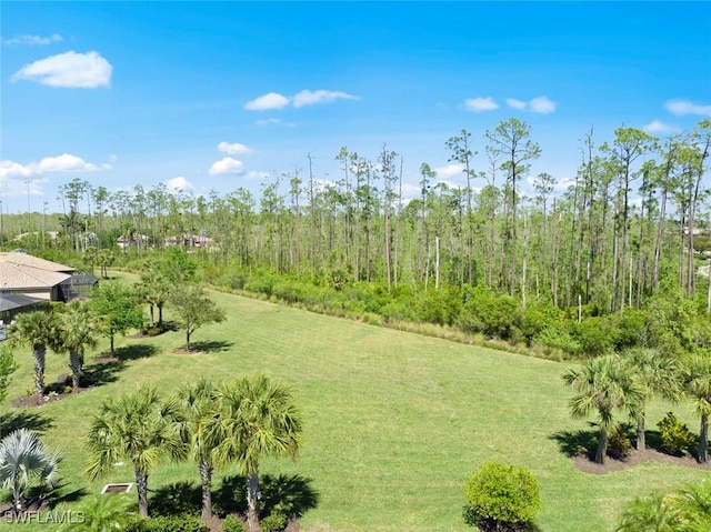 20374 Black Tree Ln, Estero, FL 33928 - view of grassy yard
