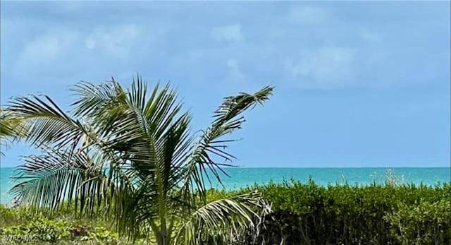 671 E Gulf Dr Unit 4D1, Sanibel, FL 33957 - photo 28