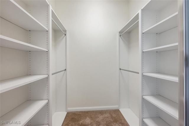 8511 Alessandria Ct, Naples, FL 34114 - walk in closet featuring carpet floors