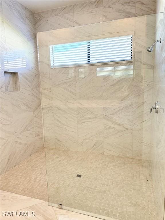 5048 Gambero Way, Ave Maria, FL 34142 - full bath featuring tiled shower