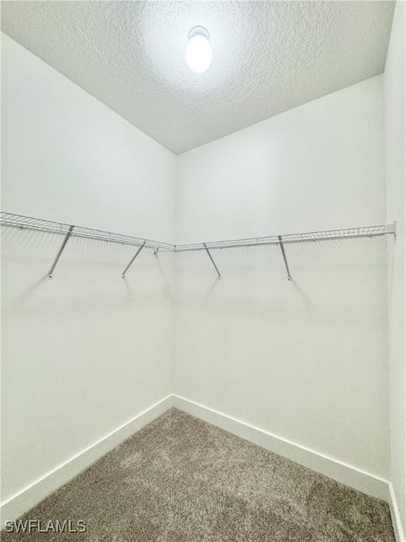 5048 Gambero Way, Ave Maria, FL 34142 - walk in closet featuring carpet