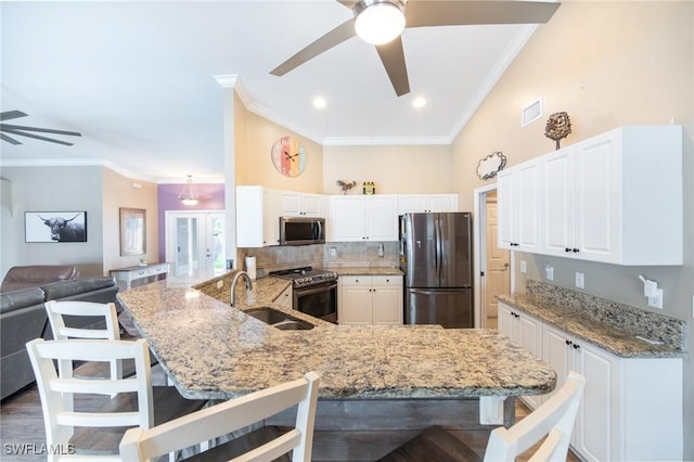 931 SW 35th Ter, Cape Coral, FL 33914 - kitchen with stainless steel appliances, a breakfast bar, a sink, a ceiling fan, and a peninsula
