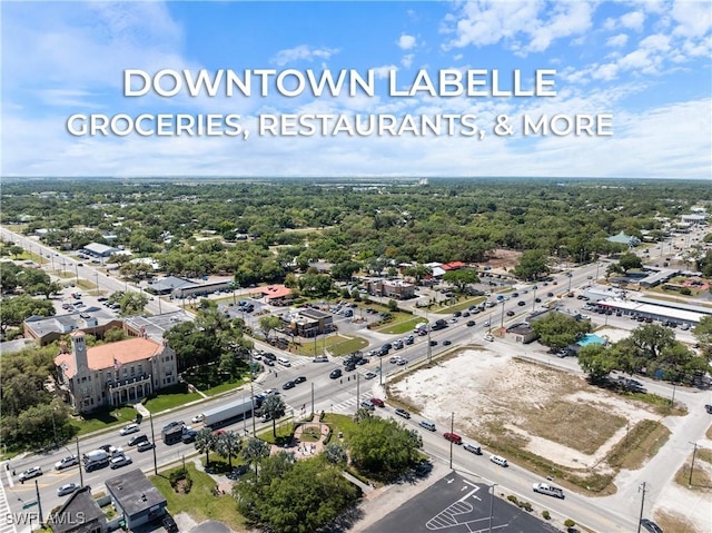drone / aerial view