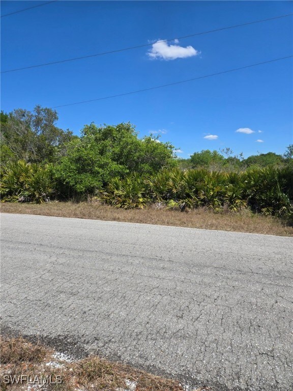 2302 Irving Ave, Alva, FL 33920 - photo 1