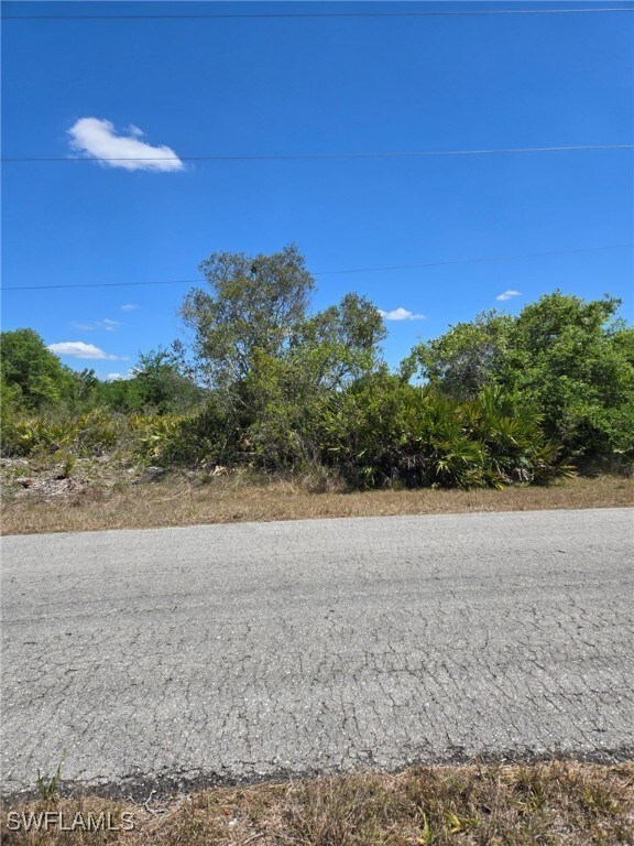 2302 Irving Ave, Alva, FL 33920 - photo 2
