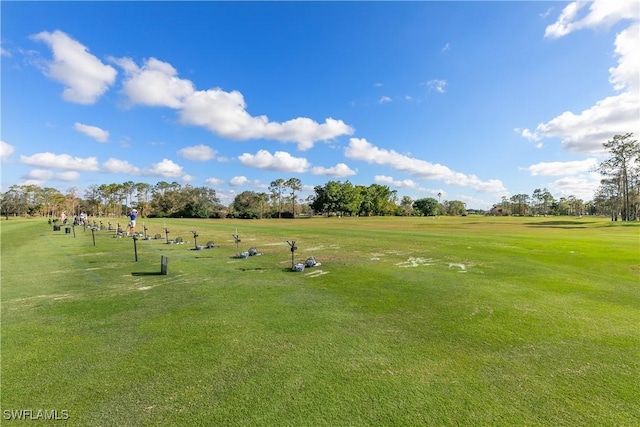 view of community with a lawn