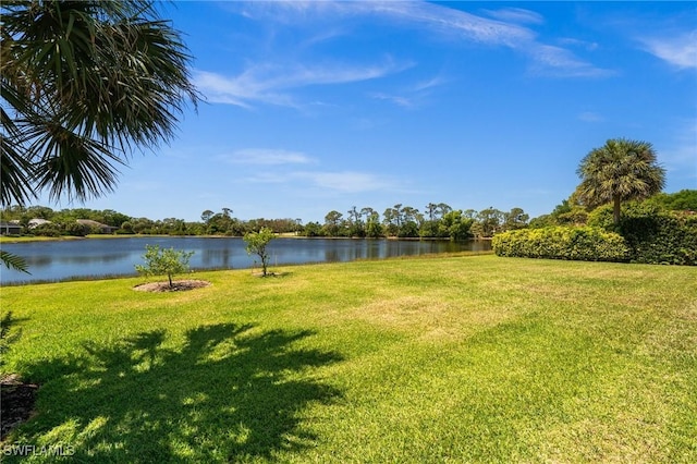 3911 Lakemont Dr, Bonita Springs, FL 34134 - view of yard with a water view