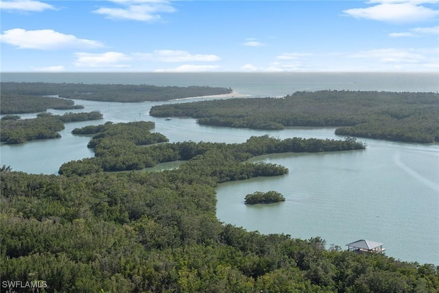 aerial view of a heavily wooded area and a nearby body of water