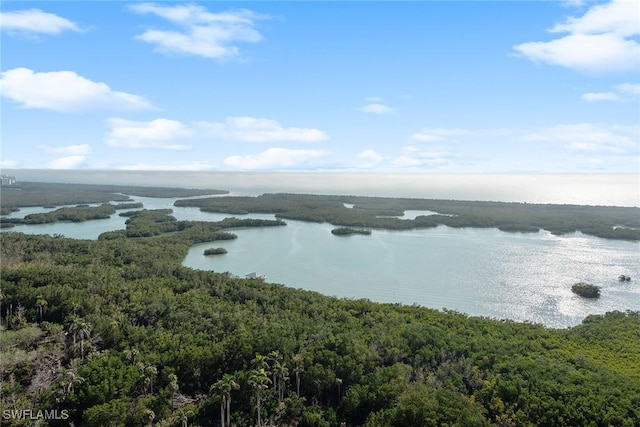 water view featuring a heavily wooded area