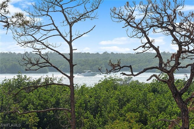 13945 Old Coast Rd Unit 406, Naples, FL 34110 - water view with a heavily wooded area