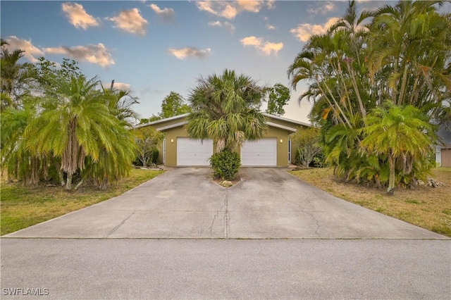 view of property hidden behind natural elements featuring driveway and stucco siding