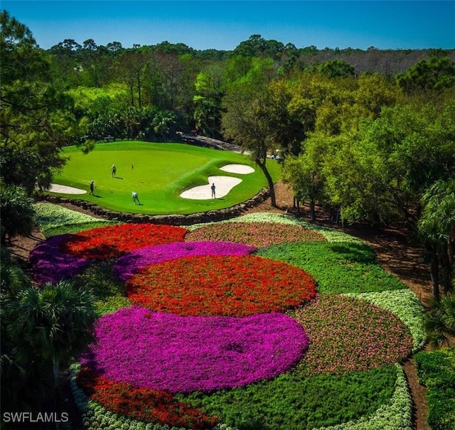 4300 Brynwood Dr, Naples, FL 34119 - surrounding community featuring golf course view