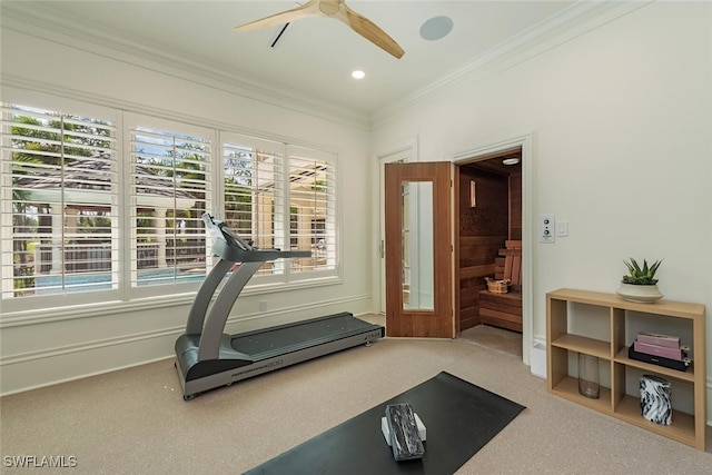 4300 Brynwood Dr, Naples, FL 34119 - workout room featuring ceiling fan, ornamental molding, plenty of natural light, and carpet floors
