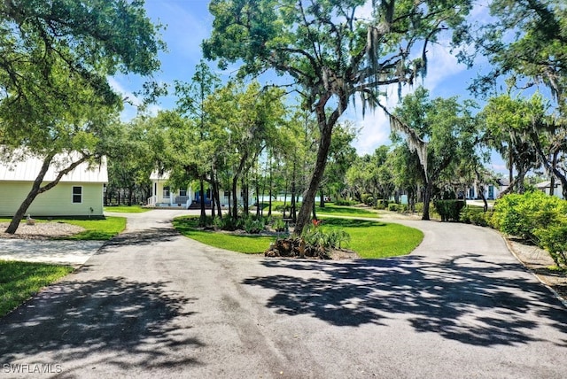 17150 Scout Camp Rd, Alva, FL 33920 - view of street featuring driveway