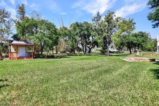 17150 Scout Camp Rd, Alva, FL 33920 - view of yard