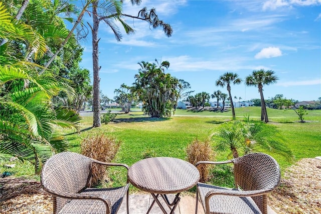 28389 Verde Ln, Bonita Springs, FL 34135 - view of green lawn