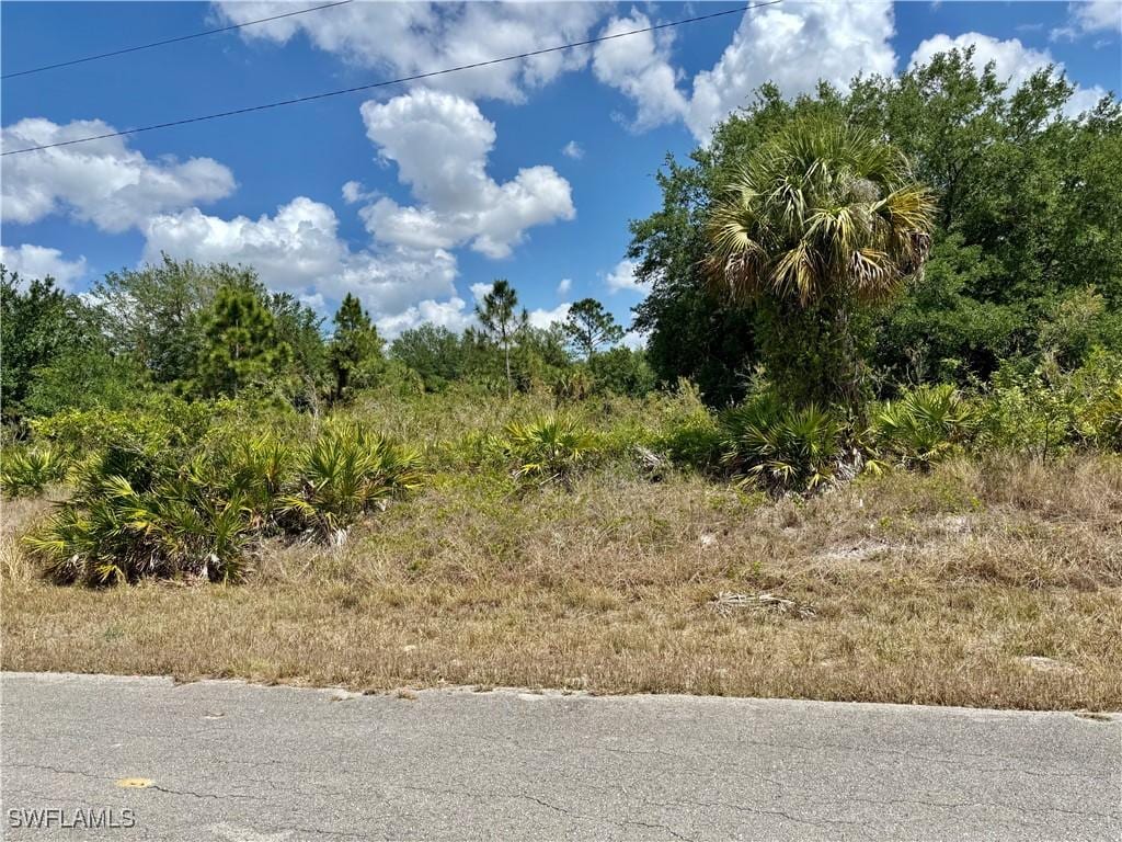 314 Wells Ave, Lehigh Acres, FL 33936