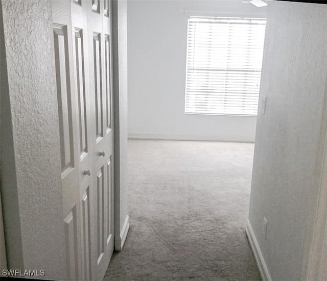 hall featuring carpet