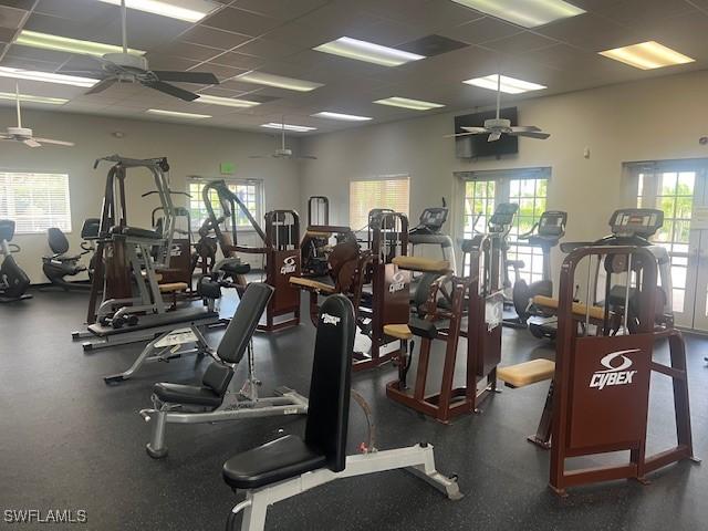 exercise room featuring a ceiling fan and a paneled ceiling