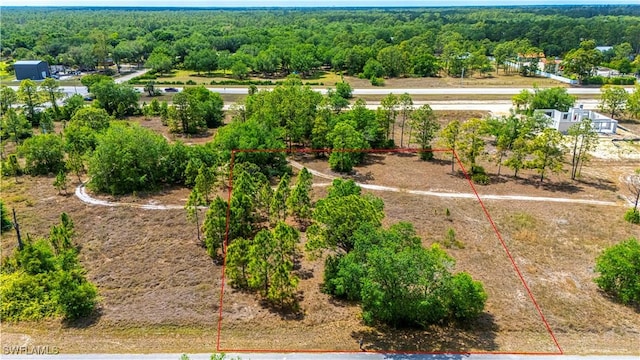1407 Robert Ave, Lehigh Acres, FL 33972