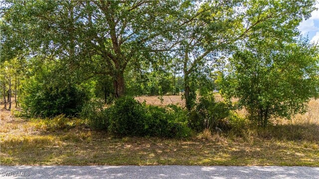1407 Robert Ave, Lehigh Acres, FL 33972