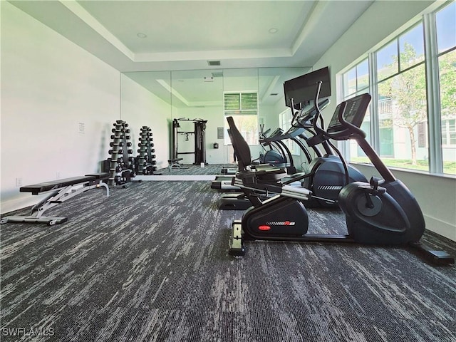 26330 Coco Cay Cir Unit 201, Bonita Springs, FL 34135 - exercise room featuring a raised ceiling and healthy amount of natural light