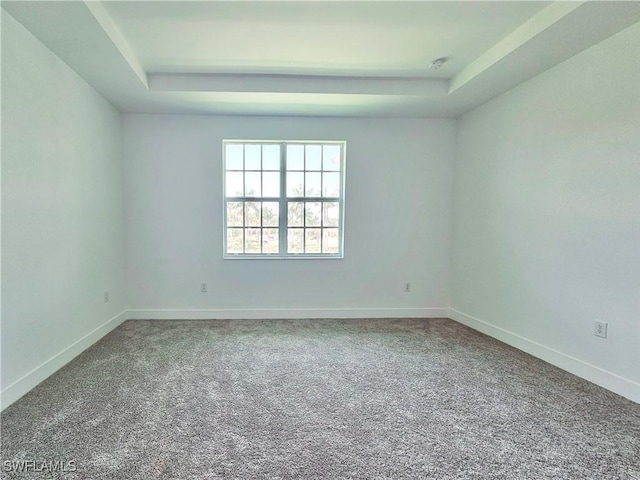26330 Coco Cay Cir Unit 201, Bonita Springs, FL 34135 - carpeted empty room featuring a raised ceiling and baseboards