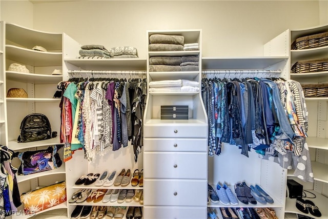 3914 SW 17th Ave, Cape Coral, FL 33914 - view of spacious closet