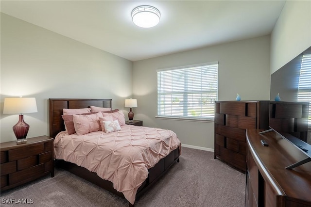 1410 SW 38th St, Cape Coral, FL 33914 - bedroom featuring carpet and baseboards