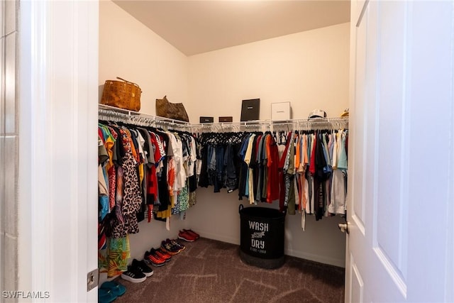 1410 SW 38th St, Cape Coral, FL 33914 - spacious closet featuring carpet flooring