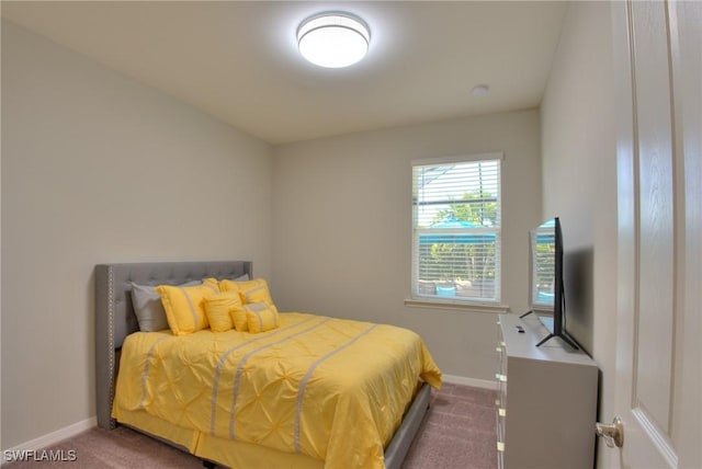 1410 SW 38th St, Cape Coral, FL 33914 - bedroom featuring carpet and baseboards