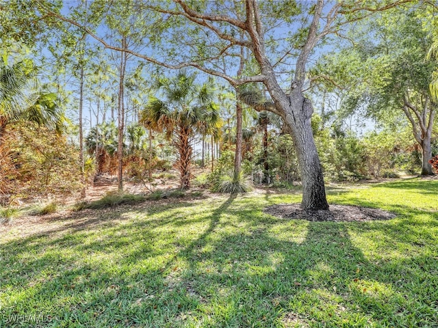 5774 Greenwood Cir Unit 64, Naples, FL 34112 - view of yard