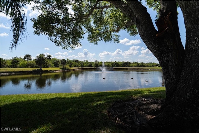 15600 Crystal Lake Dr Unit 101, North Fort Myers, FL 33917 - photo 37