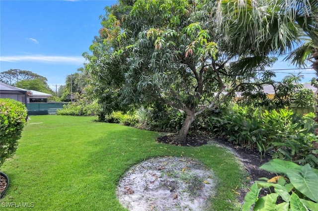750 Southern Pines Dr, Naples, FL 34103 - view of green lawn