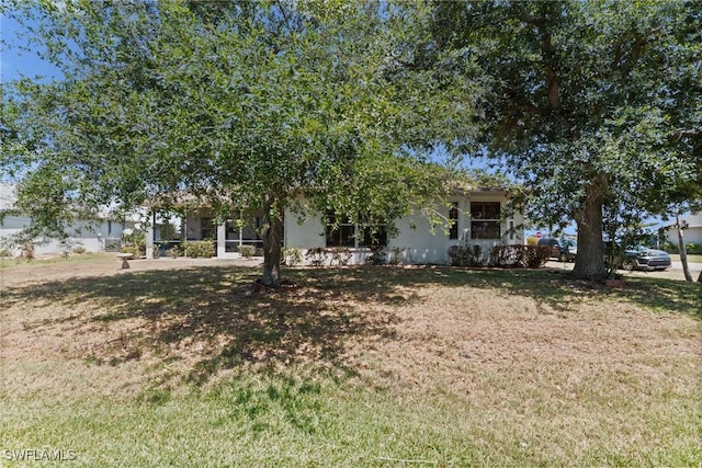 view of property hidden behind natural elements featuring a front lawn and stucco siding