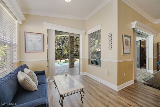 interior space with a healthy amount of sunlight, light wood-style floors, and crown molding