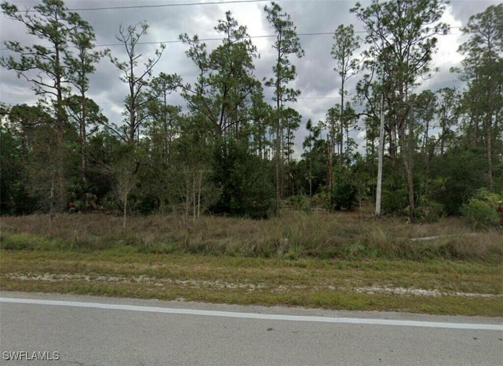 602 W 10th St, Lehigh Acres, FL 33972 - photo 2