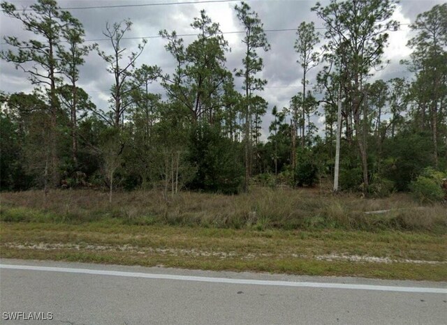 602 W 10th St, Lehigh Acres, FL 33972 - photo 2