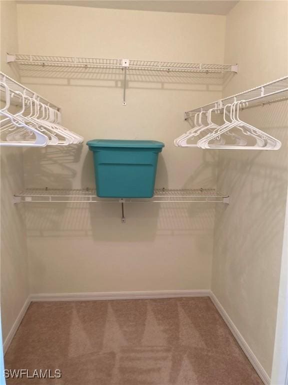 13111 Cross Creek Blvd SE Unit 215, Fort Myers, FL 33912 - spacious closet featuring carpet flooring