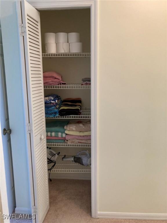 13111 Cross Creek Blvd SE Unit 215, Fort Myers, FL 33912 - view of closet