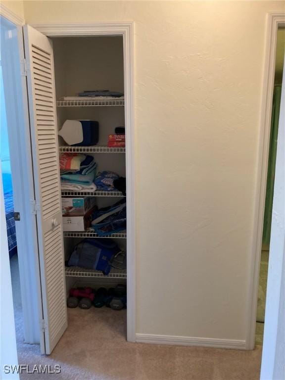13111 Cross Creek Blvd SE Unit 215, Fort Myers, FL 33912 - view of closet