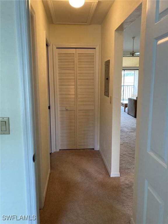13111 Cross Creek Blvd SE Unit 215, Fort Myers, FL 33912 - hallway with carpet flooring and baseboards