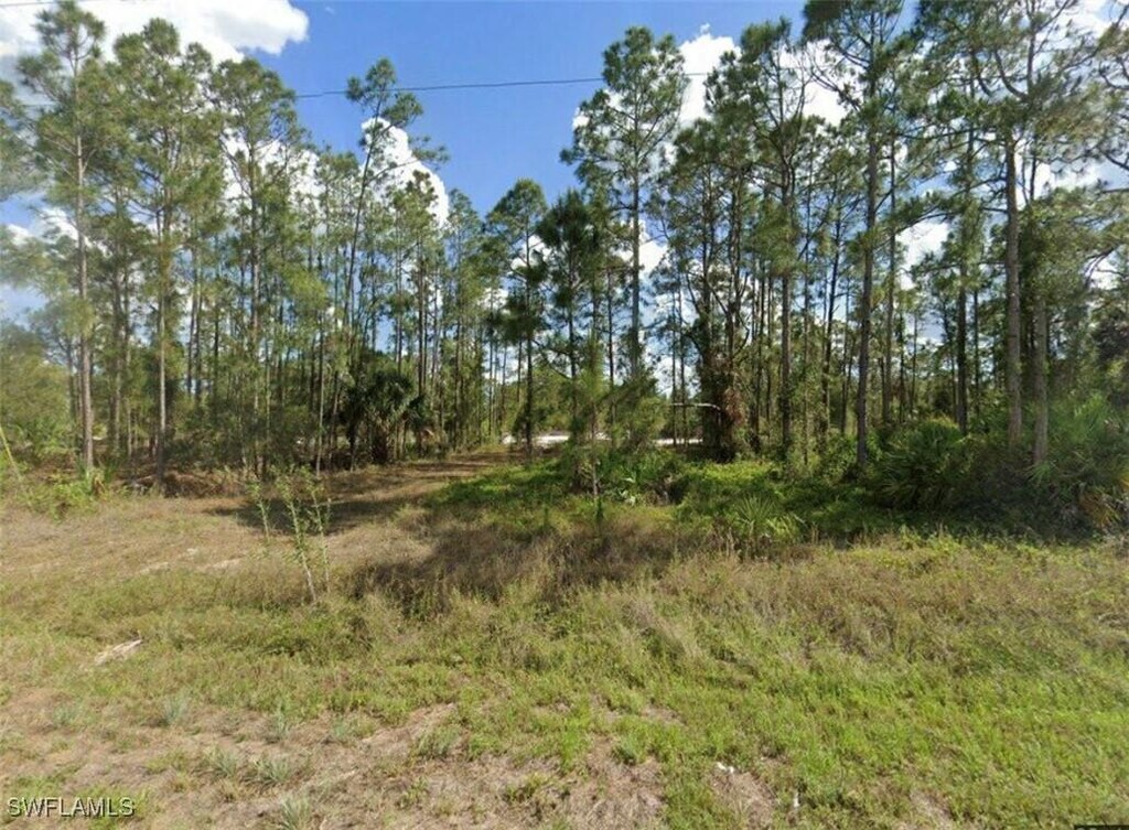 1028 Draper St, Lehigh Acres, FL 33974