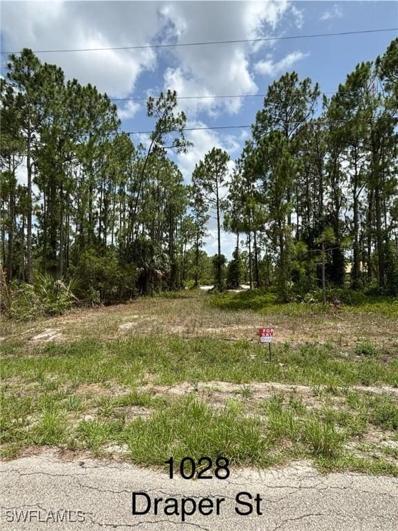 1028 Draper St, Lehigh Acres, FL 33974
