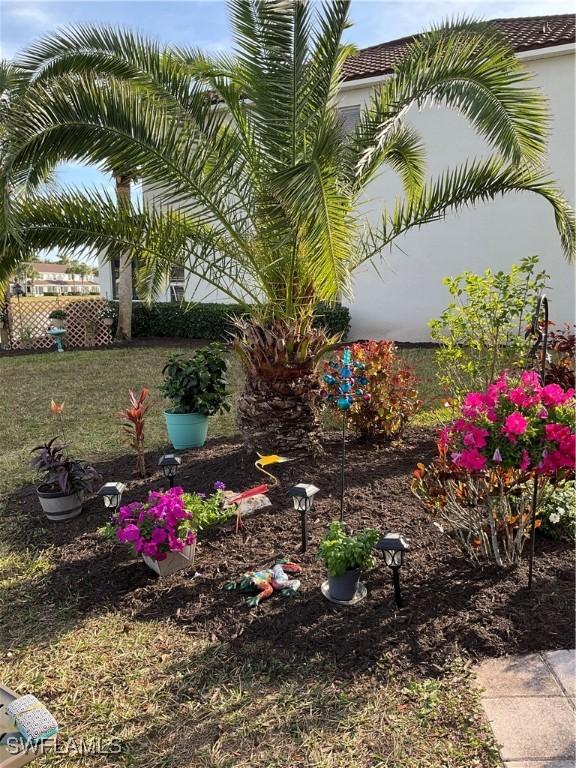 11739 Eros Rd, Lehigh Acres, FL 33971 - view of yard